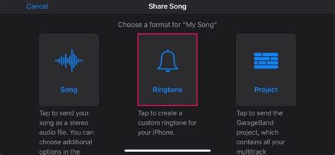 How to Set Ringtone on iPhone 13 from Music Library: A Detailed Guide with Multiple Perspectives